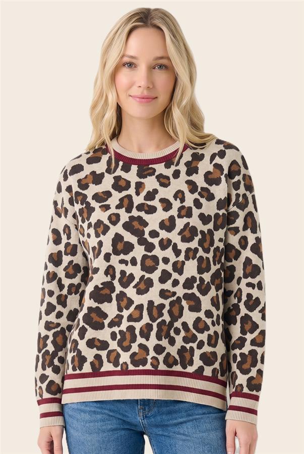 Color Trimmed Crew Sweater with Leopard
