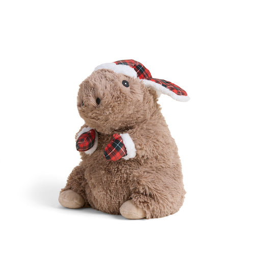 Warmies (Large Sizes)